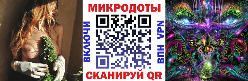 Галлюциногенные грибы Magic Shrooms  Тамбов 